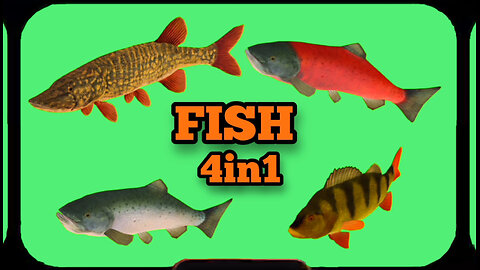 FISH animation Green Screen. Video chromakey on the GREEN SCREEN.