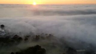 Drone capta chegada de neblina na Austrália