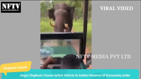 Angry Elephant Chases Safari Vehicle In Kabini Reserve,India