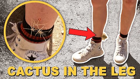 The Dangers of Hiking in the Desert (PAINFULL)