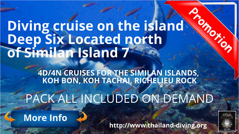 🤿 Diving Cruise to the Similans Islands 7, Deep Six