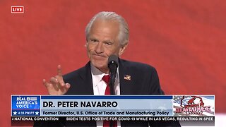 Peter Navarro Addresses the Republican Convention