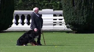 Кучето на ирландския президент се разлая срещу Байдън