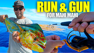 THIS is the ONLY lure you need.... Mahi Mahi Fishing in South Florida!