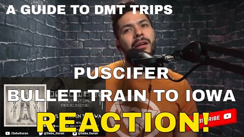 Puscifer - Bullet Train to Iowa | Sebs' Reaction | A guide to the DMT experience