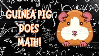 Guinea Pig Math