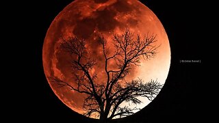 Eclipse total - Lua de sangue - A partir das 23h20 (horário de Brasília)