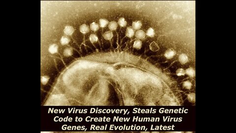New Virus Discovery, Steals Genetic Code to Create New Human Virus Genes, Evolution