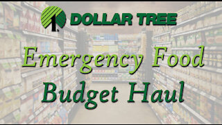 Budget Prepper Pantry Haul from Dollar Tree