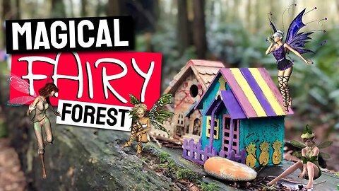 Magical Fairy Forest | Real Life Fairy Caught on Camera | Fairy Forest Ambience