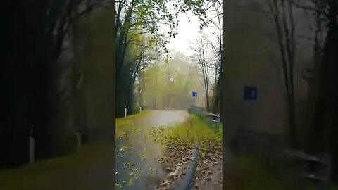 Car Rain - Fall Asleep in your Car #rainyday #car #rainonglass