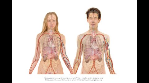 WHAT YOU DIDN'T KNOW ABOUT ORGAN HARVESTING