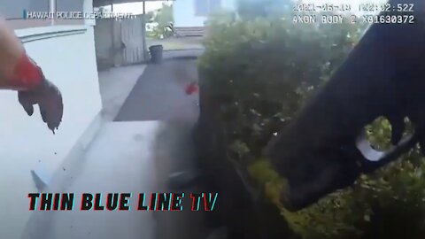 BODYCAM: Suspect Attacks Officer With Machete, Gets Fatally Shot By Big Island Police