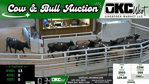 8/7/2023 - OKC West Weekly Cow & Bull Auction