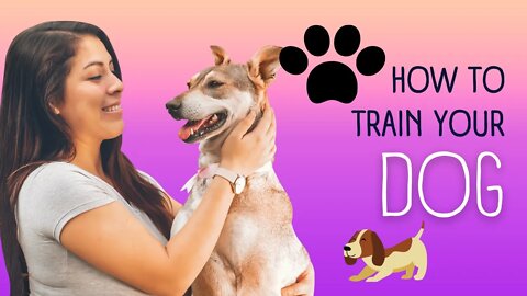 How to train your dog to become aggressive #dogtraining #dogaggression #guarddog