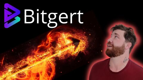 Bitgert "BRISE Crypto" Top 100 Soon?