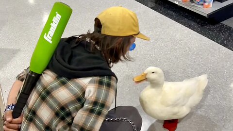 I took my duck to Dick’s