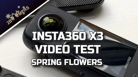 INSTA360 X3 VIDEO TEST SPRING FLOWERS