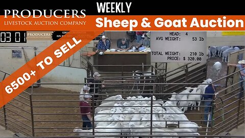 5/9/2023 - Producers Livestock Auction Company Sheep & Goat Auction