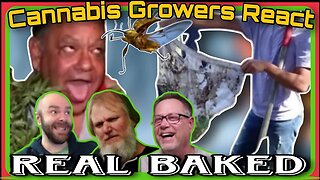 Cannabis Growers React: Real Baked #001 (Dude Grows Presents)