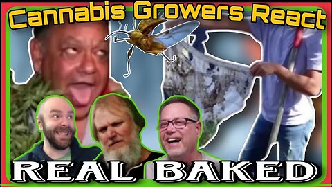 Cannabis Growers React: Real Baked #001 (Dude Grows Presents)