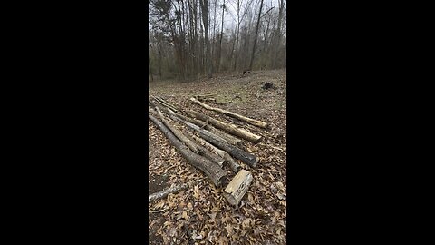 Log Cabin Coming Soon