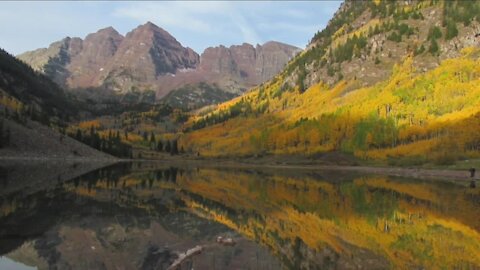 White River Nalt Forest wants input on aspen tree stands