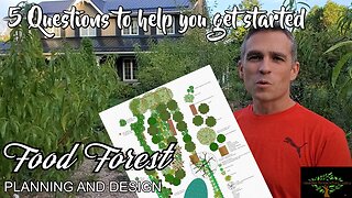 So you want a food forest. Now what? 5 questions to help you get started.