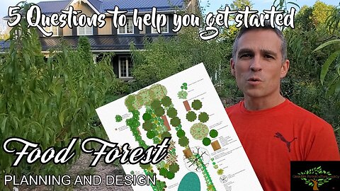 So you want a food forest. Now what? 5 questions to help you get started.