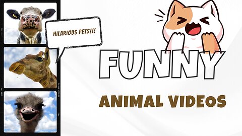 Comedy pets || Laugh Guaranteed