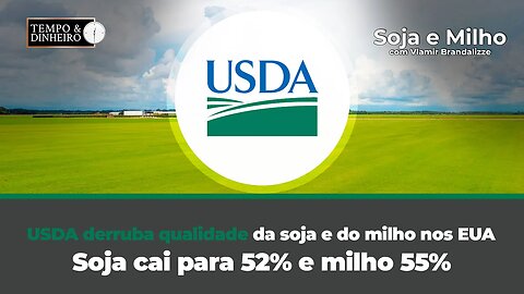 USDA derruba qualidade da soja e do milho nos EUA. Soja cai para 52% e milho 55%