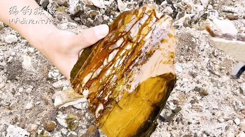 戶外探險 |深入華盛頓州神秘的私人矽藻土礦區 發現寶石堆滿地 七彩木化玉蛋白石撿到手軟WA Endless Opalized Wood found in Diatomaceous Earth Mine