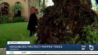 Kensington residents protect pepper trees