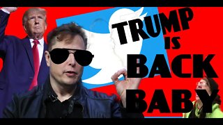 Donald J Trump has been reinstated on Twitter
