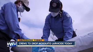 Crews to drop mosquito larvicide in parts of San Diego County