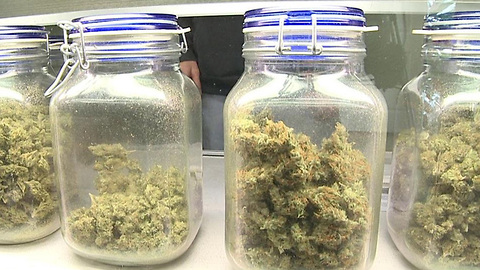 Indian River County Commission says no to medical marijuana dispensaries