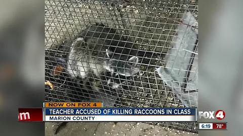 School investigates report that teacher drowned raccoons