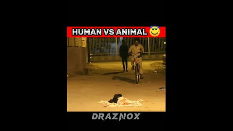 Human vs Animal 😛