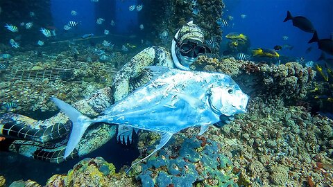 'A Day Out Deep' Spearfishing Offshore Oil Rigs Gulf of Mexico