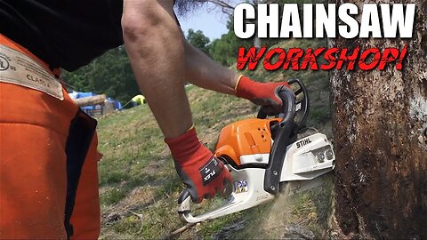 Chainsaw workshop part 2 #chainsaw #chainsawhack #chainsawstihl @Stihl @lowes @HomeDepot ​