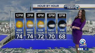 South Florida Wednesday afternoon forecast (1/8/20)