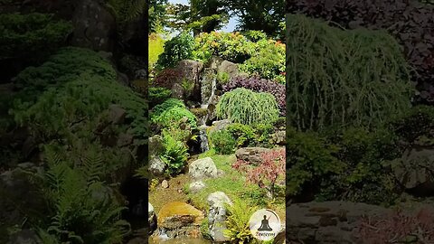 Calming Waterfall in San Francisco's Japanese Tea Garden | Relaxing Piano Music and Water Sounds