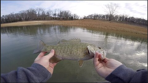 Pre-Spawn Transition Crankbait Fishing