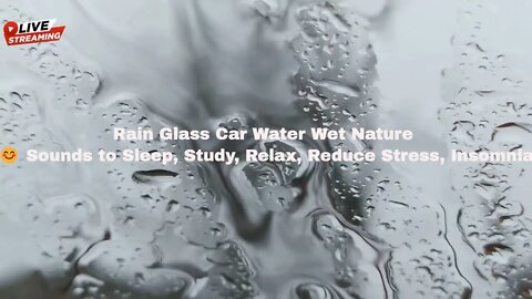 Rain Glass Car Water Wet Nature 😊 Sounds to Sleep, Study, Relax, Reduce Stress, Insomnia