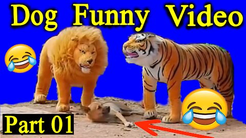 Fake Tiger Prank dog vs Tiger and lion | Funny Dog Videos