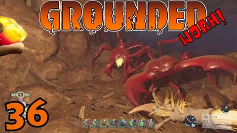 Lots Of Goodies Found Clearing Fire Ant Hill - Grounded Release - 36