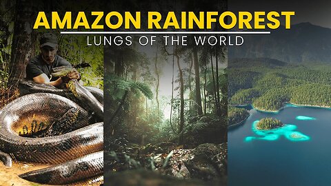Mysteries of Amazon Rainforest | Lungs of the World | Wonder Dome