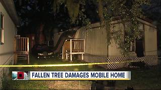 Tree falls on mobile home with pregnant woman and baby inside