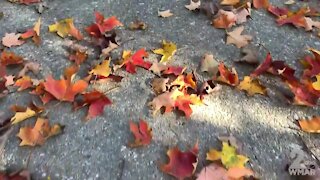 WMAR Fall Staycation: Peak times for Fall Foliage