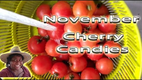 November Cherry Candies